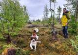 Blodspor trening av hund for jenter 14/5 2026