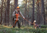 5 dagers Intro-jakt på elg i Gravberget