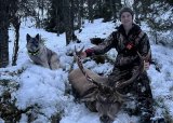 Introjakt: Hjortejakt med hund 2025