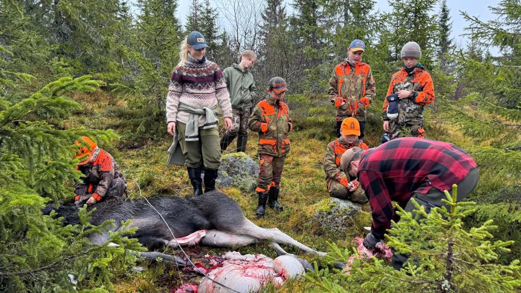 Elgjakt med overnatting på koie
