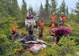 Elgjakt med overnatting på koie