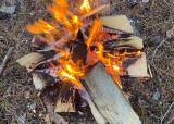 Egenberedskap i naturen: Fiske