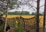 Duejakt for damer