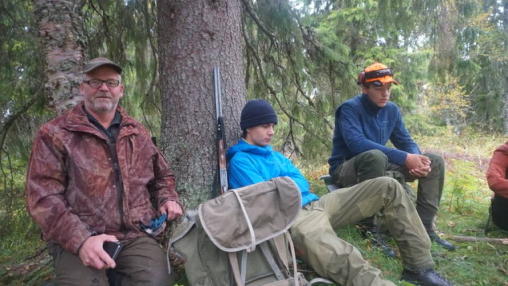 Introjakt på hare, rype og skogsfugl.