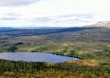 Uttynningsfiske på Røsjøen🎣 - 27-06-2026