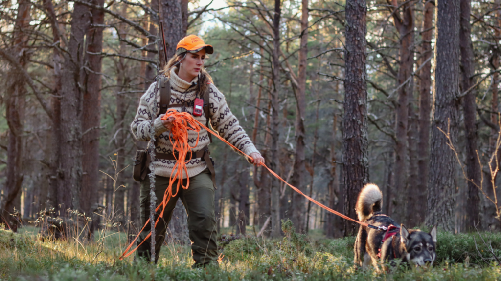 5 dagers Intro-jakt på elg i Gravberget