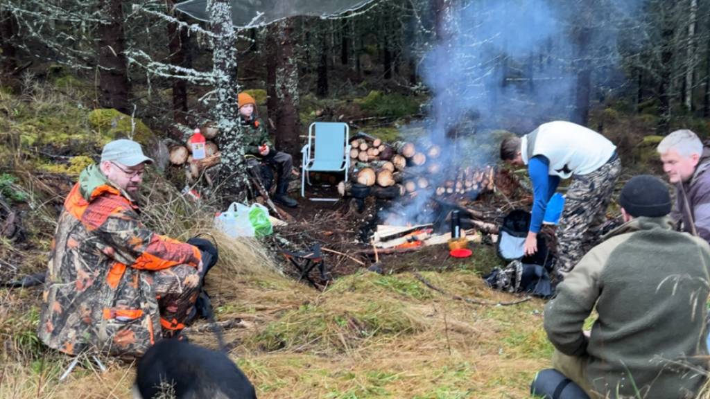 Introjakt: harejakt på Finnskogen