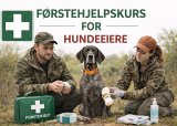 Førstehjelpskurs for hund med Ingrid Wiik Haugbjørg i Vang