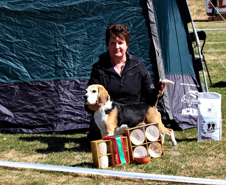 Ex Vtk.1Btk.Ck.Cert.Bim.ny norsk Champion.NjV13.NJ(D)Ch Tyriberget's Bianca..JPG