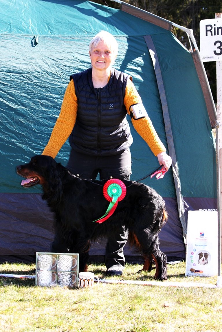 Ex.1Bhk.ck.cert.BIR. Ny norsk Champion. DK Ch Nakkehages To Aslak.JPG