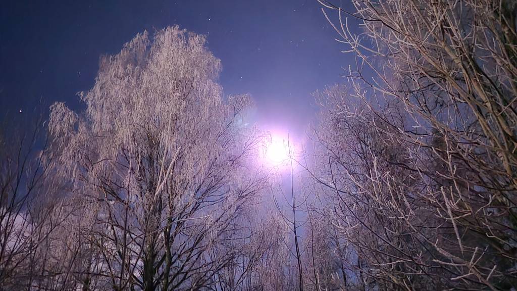 Jenter: Juleavslutning og laserskyting