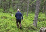 Minikurs i legging av blodspor