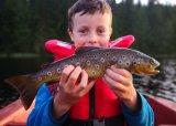 JOFS: Fiske/tynningsfiske ved Butjernet