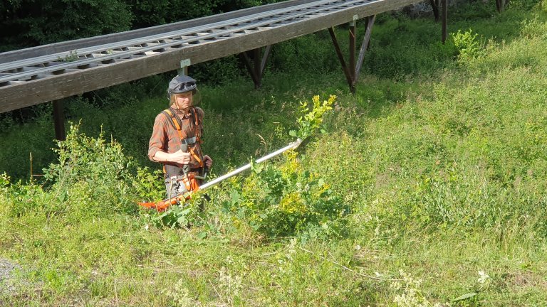 Steinar Finnstun med ryddesaga 20230705.jpg