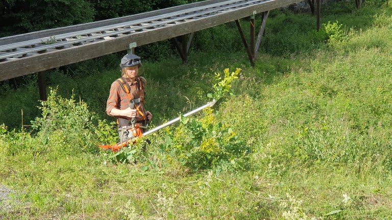 Steinar Finnstun med ryddesaga 20230705.jpg