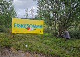 Fiskesommer