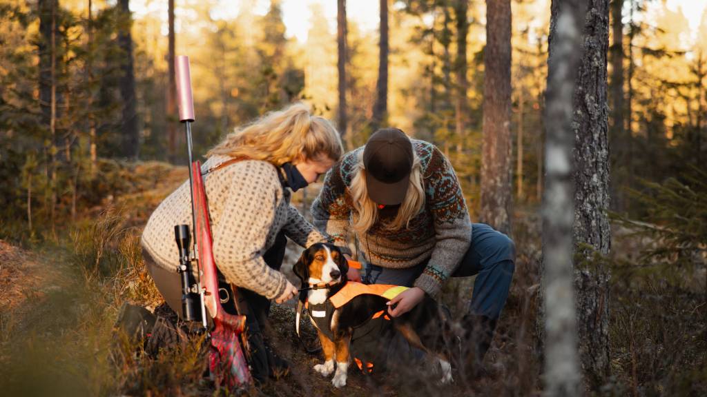 Jenter: Rådyrjakt