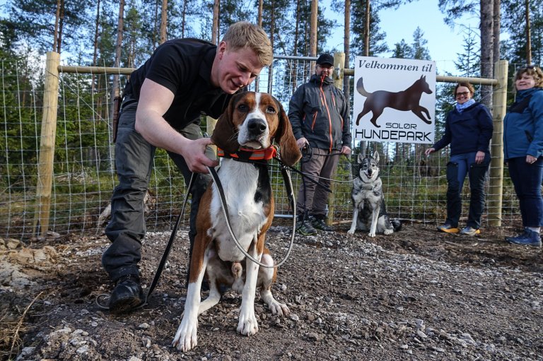 Solør Hundepark.jpg