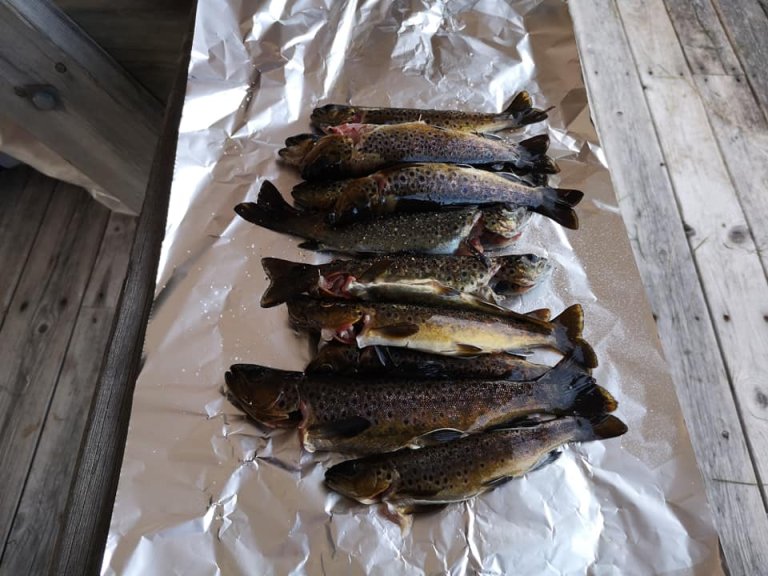 2022.06.12 Bringbu.jpg