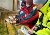 Fisk- og vinkveld - tilberedning av fisk
