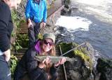 Laksefiske - 03-09-2026