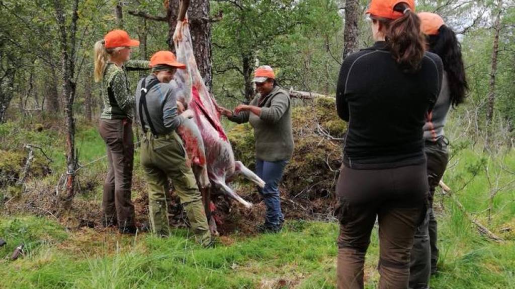 Hjortejakt for damene