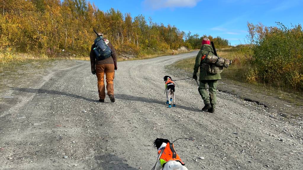 Jakthelg for kvinner på Altevatn