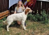 Utstillingstrening - 13-05-2025
