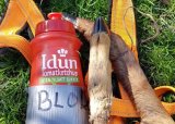 Innføring i blodsportrening med hund - 05-07-2022