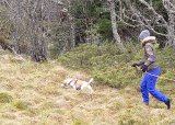 Ettersøk Videregående Del 2. Andøy