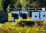 Elgebanetrening - 29-07-2025