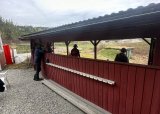 Damekvelder på Leirduebanen - 12-05-2025