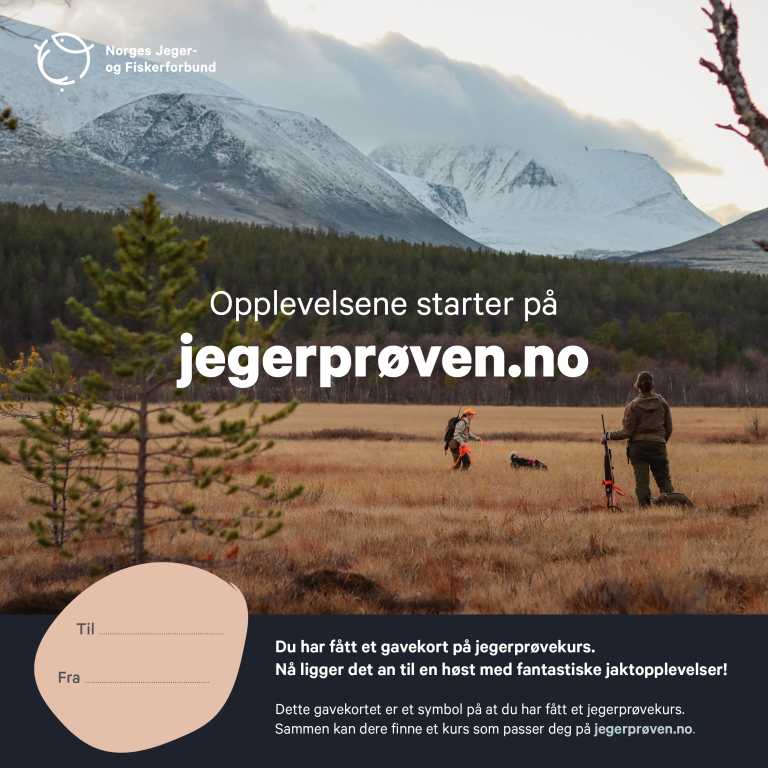 Gavekortjegerprøven_myr.png