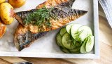 Agurksalat er perfekt tilbehør til både grillet ørret og makrell men kan også serveres til annen type fisk.