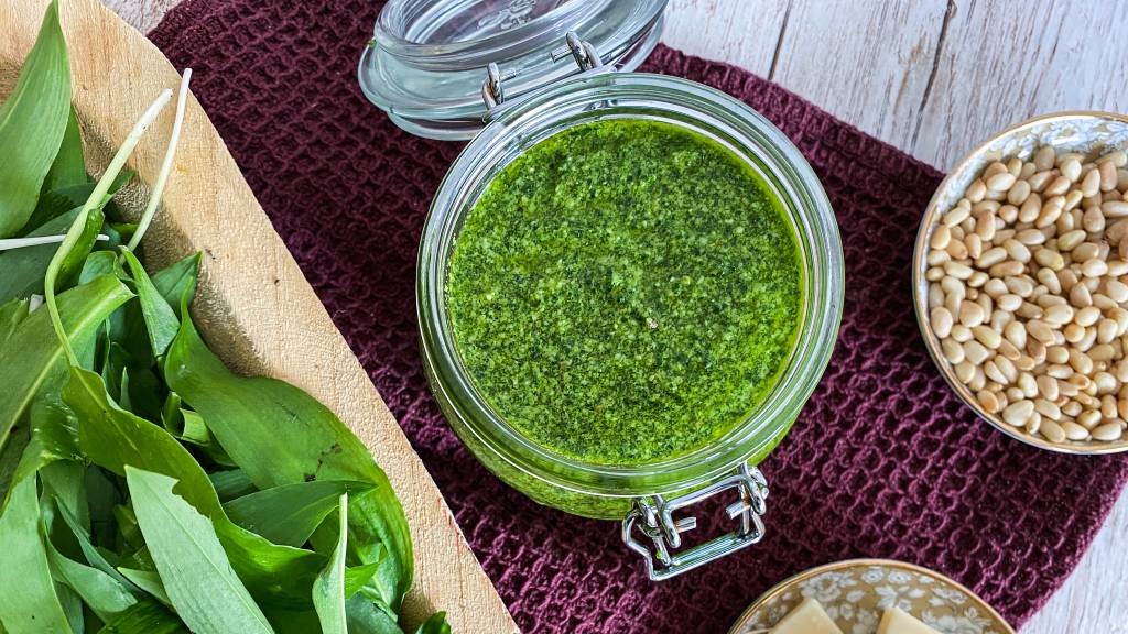Ramsløkpesto smaker nydelig som tilbehør til både vilt og fisk. Vi gir deg også noen gode tips til sanking av denne smakfulle delikatessen.