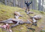 Introjakt for førstegangsjegere