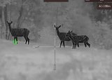 Rifleskyting - 03-06-2025
