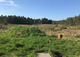Leirdueskyting for Jenter/Damer - 16-08-2025