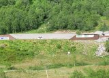 Ungdomsskyting elgbane - 06-08-2025
