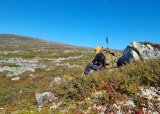 Introjakt Hjort 2025 Valldal