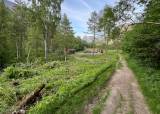 Dugnad på leirduebana 2026 Valldal