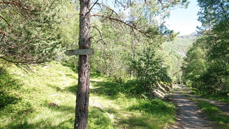 Jelegro ed Elv Lisjedalen.JPG