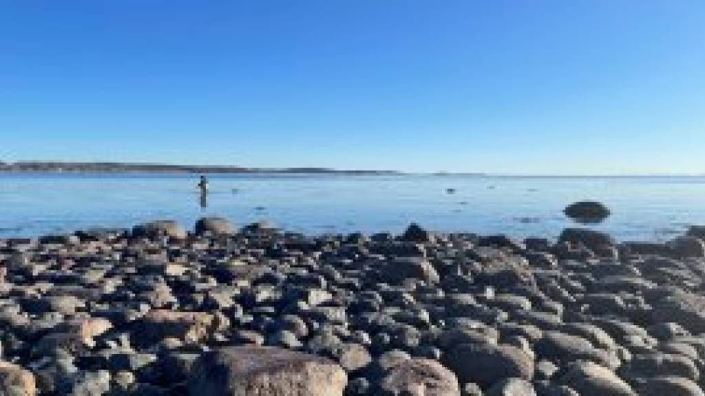 Norges Jeger- og Fiskerforbund (NJFF) er kritiske til Fiskeridirektoratets forslag om store nullfiskeområder i Oslofjorden.