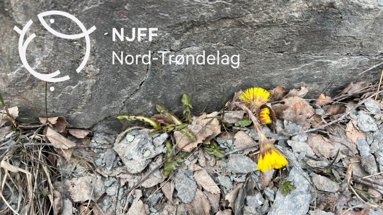 Logobilde vår.jpg