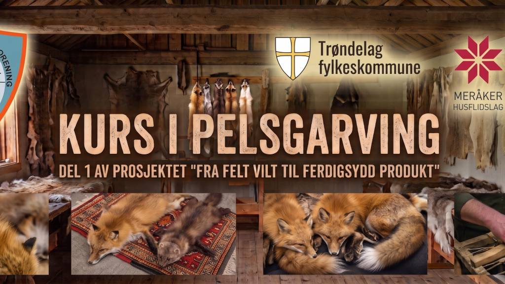 Fra felt vilt til ferdigsydd produkt - Del 1: Kurs i pelsgarving