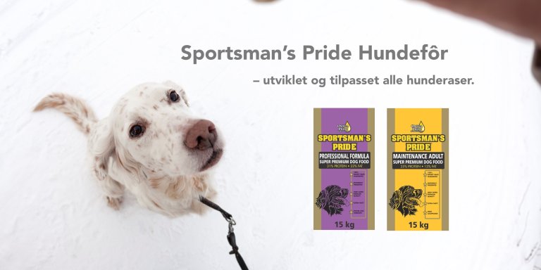 Hundefor.jpg