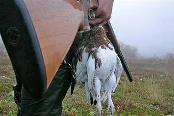 Jaktskytterskole 2026 - 22-04-2026