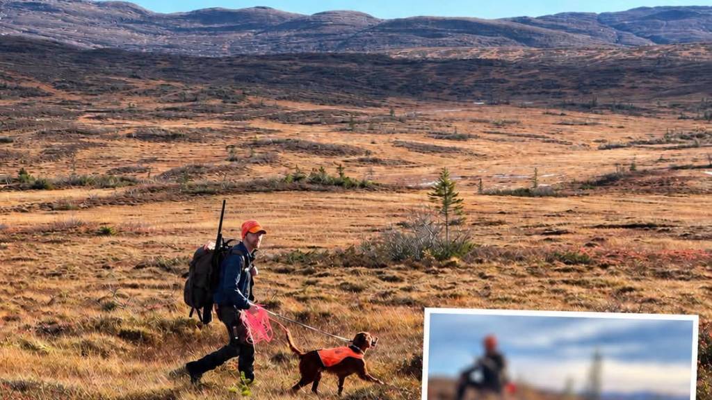 Opplæringsjakt på rype