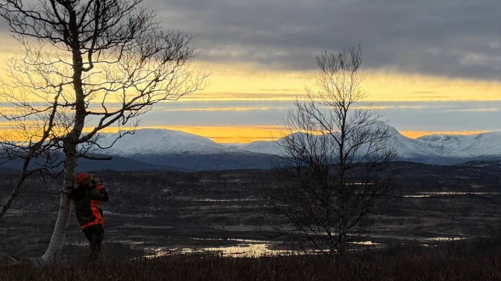 Introjakt Elg Bodø