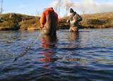 Familiedag med stamfiske